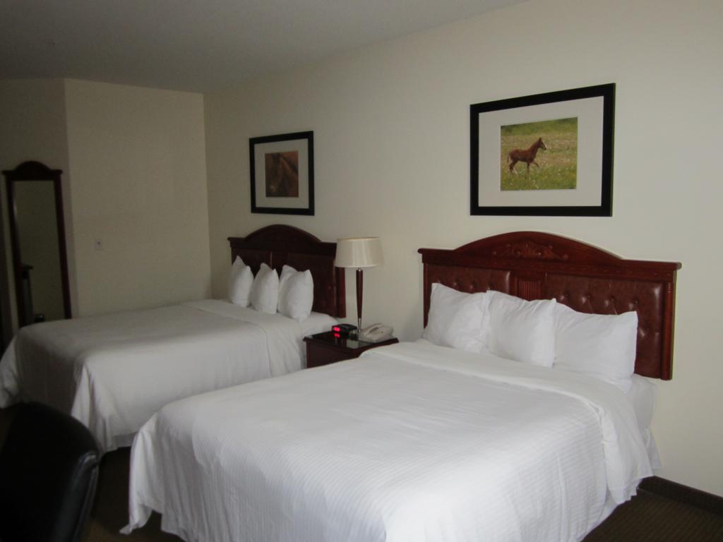 Trend Mountain Hotel & Conference Centre Tumbler Ridge Pokoj fotografie