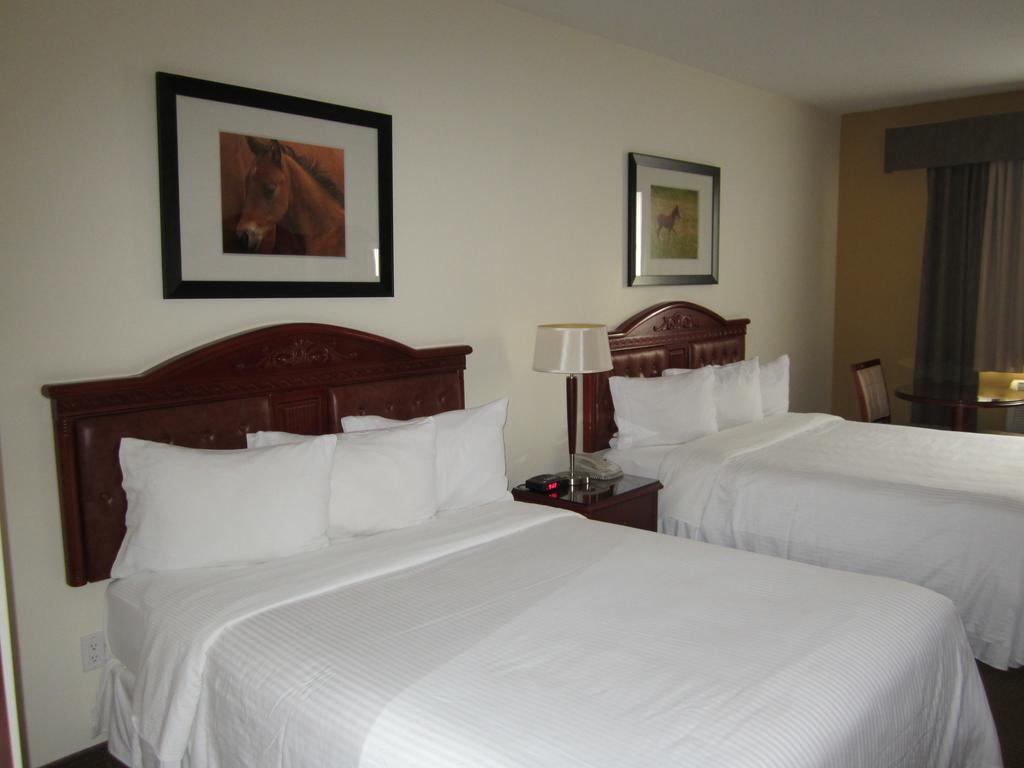 Trend Mountain Hotel & Conference Centre Tumbler Ridge Pokoj fotografie